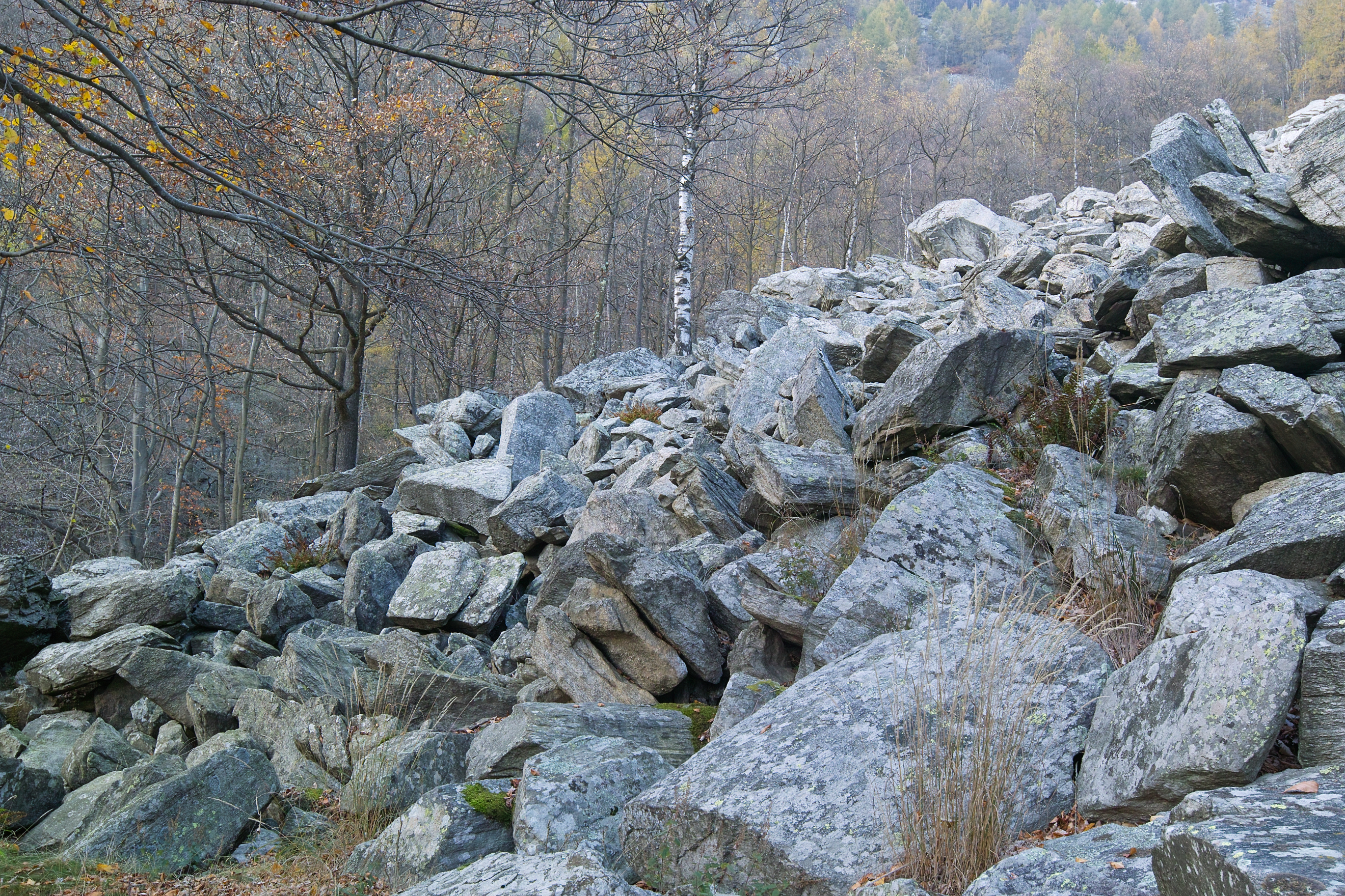 Lone hiker on mountain trail
